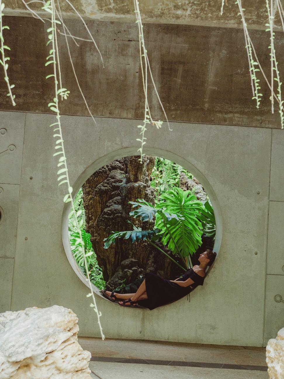 Living Wall Office Building