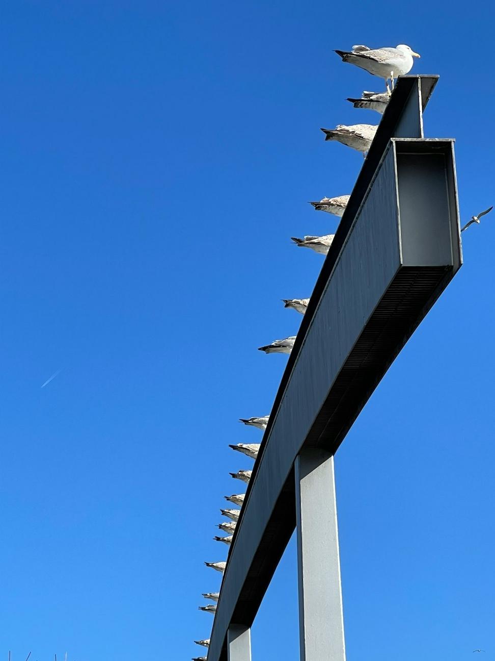 Modern Structural Design